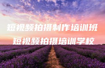 短视频拍摄制作培训班 短视频拍摄培训学校 | ae插件合集