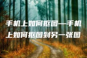 手机上如何抠图—手机上如何抠图到另一张图 | ae插件合集