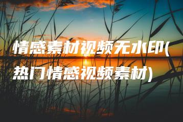 情感素材视频无水印(热门情感视频素材) | ae插件合集