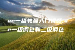 ae一级教程入门视频;ae一级调色和二级调色 | ae插件合集
