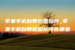 苹果手机自带抠图软件_苹果手机自带抠图软件在哪里 | ae插件合集