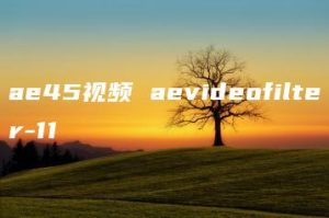 ae45视频 aevideofilter-11 | ae插件合集