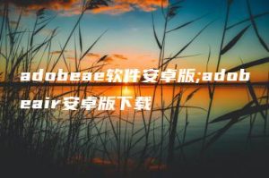 adobeae软件安卓版;adobeair安卓版下载 | ae插件合集