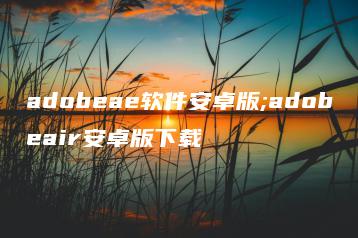 adobeae软件安卓版;adobeair安卓版下载 | ae插件合集