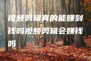 视频剪辑真的能赚到钱吗视频剪辑会赚钱吗 | ae插件合集
