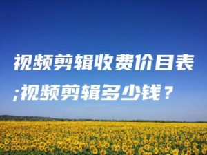 视频剪辑收费价目表;视频剪辑多少钱？ | ae插件合集