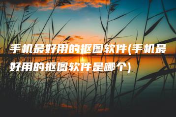 手机最好用的抠图软件(手机最好用的抠图软件是哪个) | ae插件合集