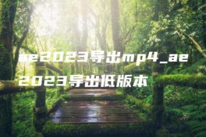 ae2023导出mp4_ae2023导出低版本 | ae插件合集