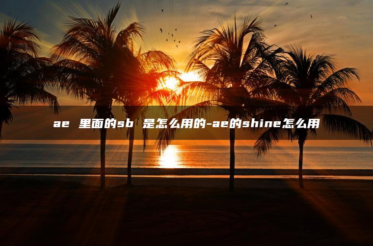 ae 里面的sb 是怎么用的-ae的shine怎么用
