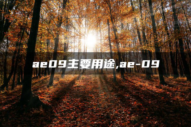 图片[1] | ae09主要用途,ae-09 | ae插件合集