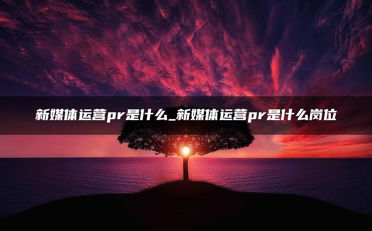 新媒体运营pr是什么_新媒体运营pr是什么岗位