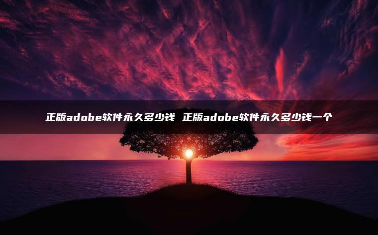 正版adobe软件永久多少钱 正版adobe软件永久多少钱一个