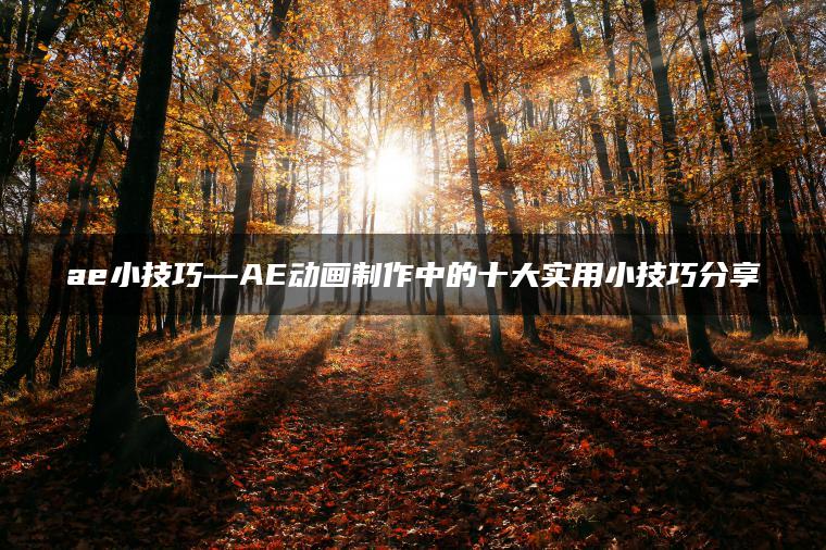 ae小技巧—AE动画制作中的十大实用小技巧分享