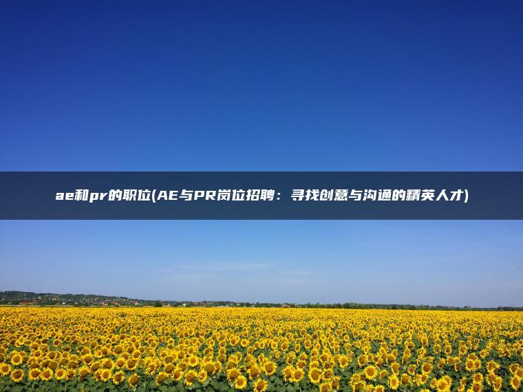 ae和pr的职位(AE与PR岗位招聘：寻找创意与沟通的精英人才)