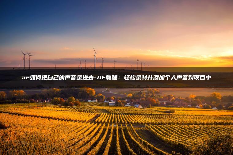 图片[1] | ae如何把自己的声音录进去-AE教程：轻松录制并添加个人声音到项目中 | ae插件合集