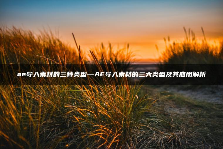 ae导入素材的三种类型—AE导入素材的三大类型及其应用解析