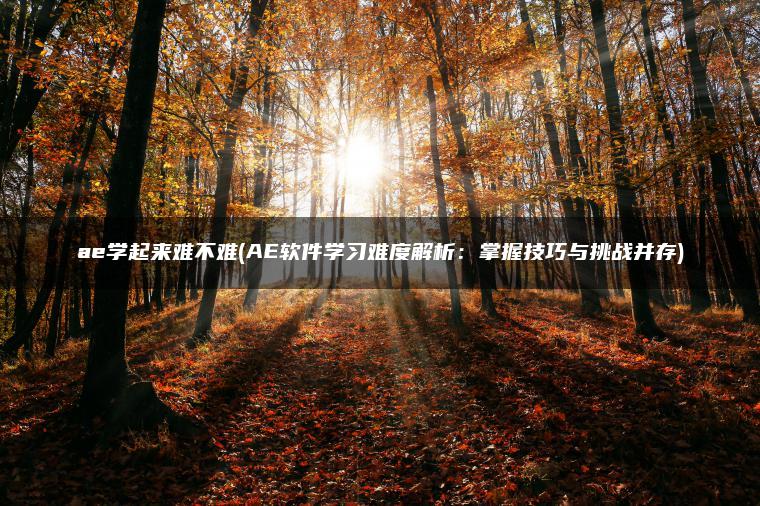 ae学起来难不难(AE软件学习难度解析：掌握技巧与挑战并存)