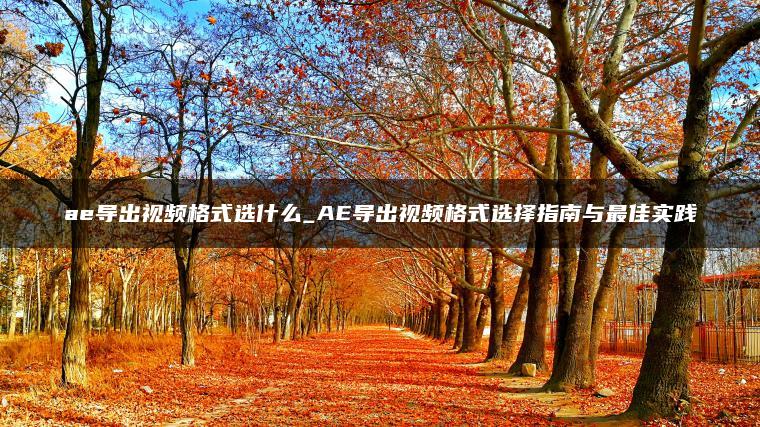 ae导出视频格式选什么_AE导出视频格式选择指南与最佳实践