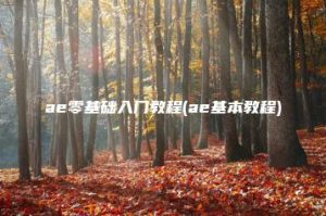 ae零基础入门教程(ae基本教程) | ae插件合集