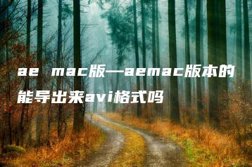 ae mac版—aemac版本的能导出来avi格式吗 | ae插件合集