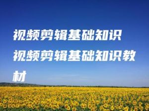 视频剪辑基础知识 视频剪辑基础知识教材 | ae插件合集