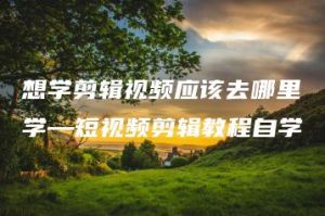 想学剪辑视频应该去哪里学—短视频剪辑教程自学 | ae插件合集