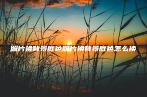 照片换背景底色照片换背景底色怎么换 | ae插件合集