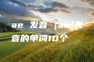 ae 发音 [ae]发音的单词10个 | ae插件合集