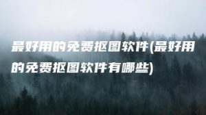 最好用的免费抠图软件(最好用的免费抠图软件有哪些) | ae插件合集