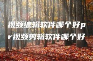 视频编辑软件哪个好pr视频剪辑软件哪个好 | ae插件合集
