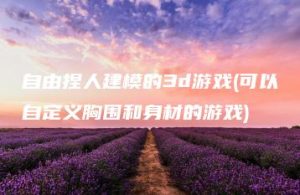 自由捏人建模的3d游戏(可以自定义胸围和身材的游戏) | ae插件合集