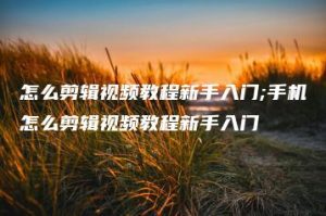 怎么剪辑视频教程新手入门;手机怎么剪辑视频教程新手入门 | ae插件合集