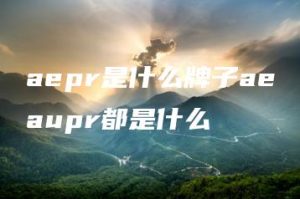 aepr是什么牌子aeaupr都是什么 | ae插件合集