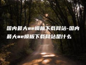 国内最大ae模板下载网站-国内最大ae模板下载网站是什么 | ae插件合集