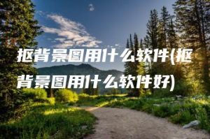 抠背景图用什么软件(抠背景图用什么软件好) | ae插件合集