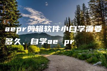 aepr剪辑软件小白学需要多久、自学ae pr | ae插件合集