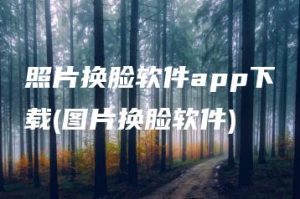 照片换脸软件app下载(图片换脸软件) | ae插件合集