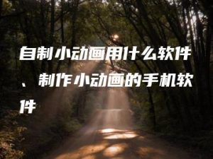 自制小动画用什么软件、制作小动画的手机软件 | ae插件合集