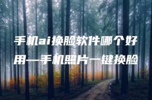 手机ai换脸软件哪个好用—手机照片一键换脸 | ae插件合集