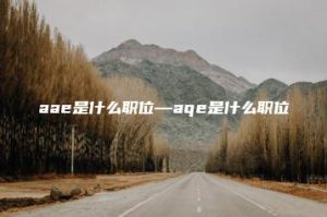 aae是什么职位—aqe是什么职位 | ae插件合集