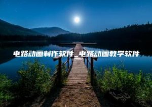 电路动画制作软件_电路动画教学软件 | ae插件合集