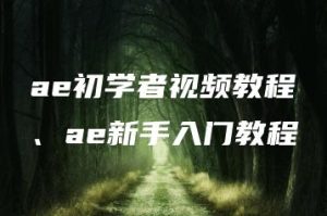 ae初学者视频教程、ae新手入门教程 | ae插件合集