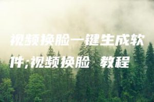 视频换脸一键生成软件;视频换脸 教程 | ae插件合集