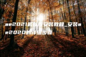 ae2021最新版安装教程_安装ae2020的详细步骤 | ae插件合集