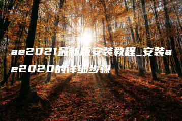 ae2021最新版安装教程_安装ae2020的详细步骤 | ae插件合集