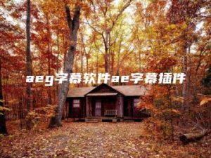 aeg字幕软件ae字幕插件 | ae插件合集