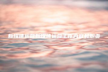 新媒体运营新媒体运营工作内容和职责 | ae插件合集