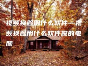 视频换脸用什么软件—视频换脸用什么软件做的电脑 | ae插件合集