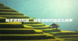 新手视频剪辑、新手视频剪辑怎么接单 | ae插件合集