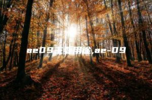 ae09主要用途,ae-09 | ae插件合集